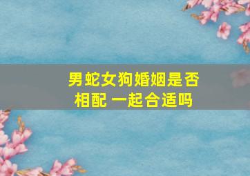 男蛇女狗婚姻是否相配 一起合适吗